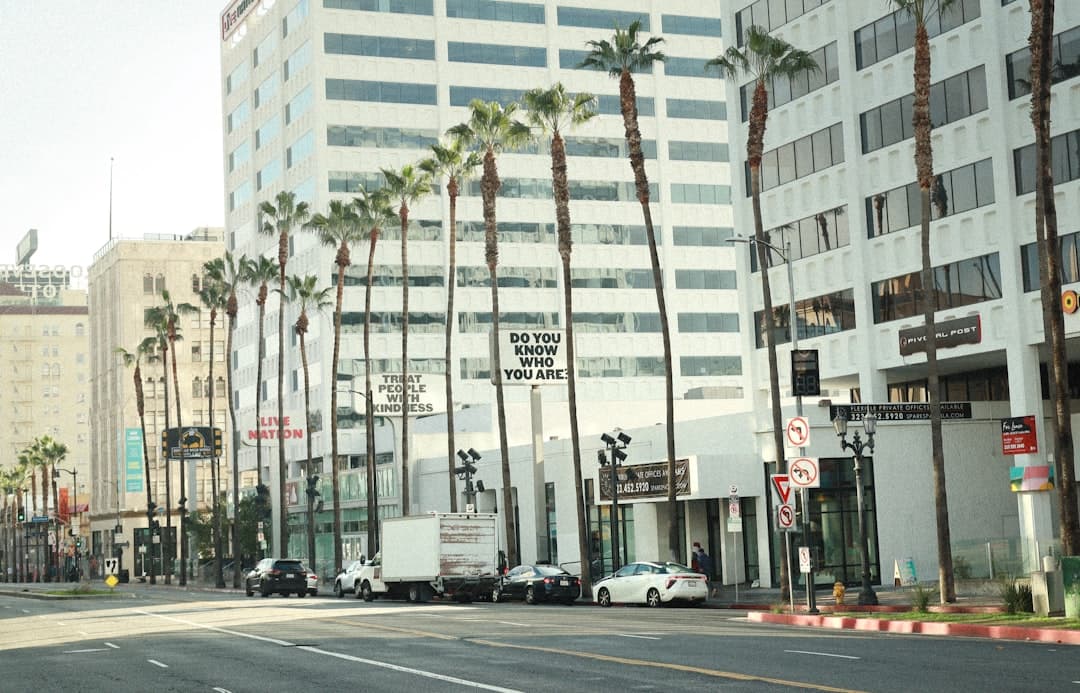 a city street lined with tall palm trees — Photo by Andres Mora on Unsplash
