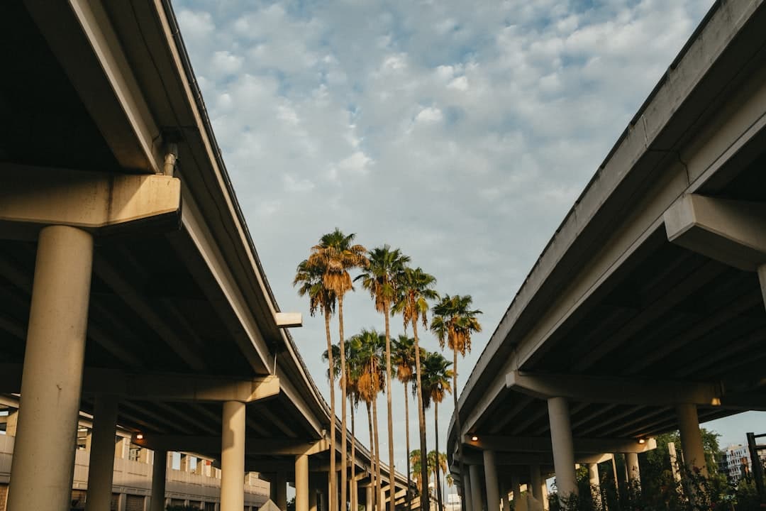 a couple of palm trees that are under a bridge — Photo by Brandon Burridge on Unsplash