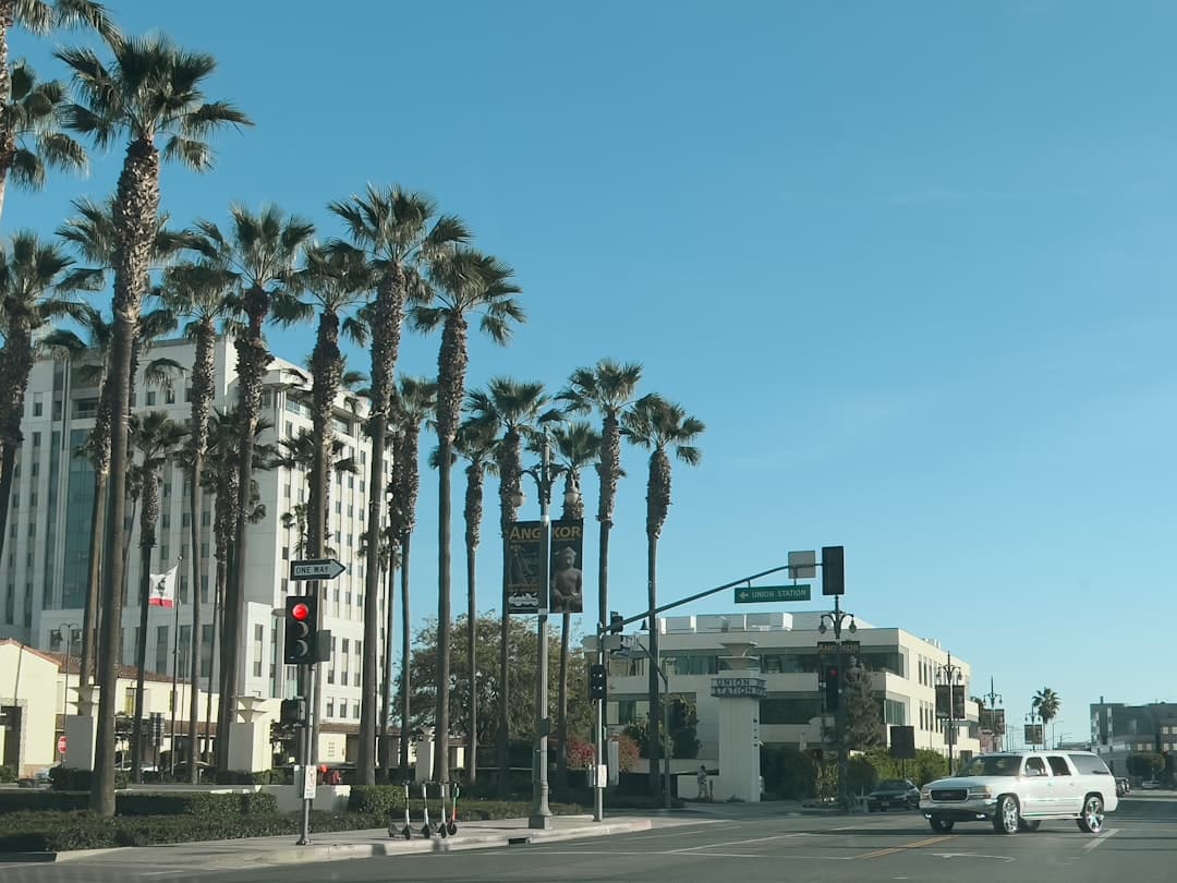 a white truck driving down a street next to tall palm trees — Photo by Oscar Ochoa on Unsplash