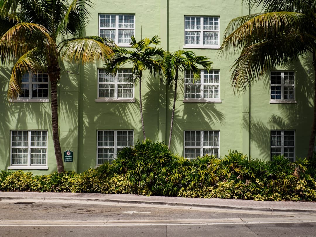 Green building with palm trees, and a street. — Photo by Marcus Lenk on Unsplash