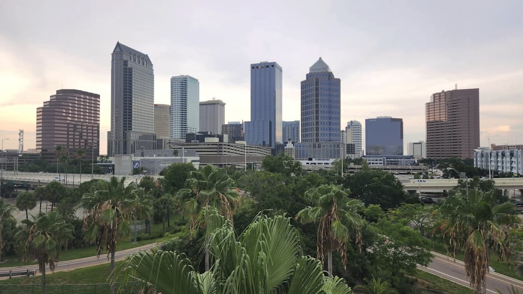 a city skyline with palm trees — Photo by Goji on Unsplash