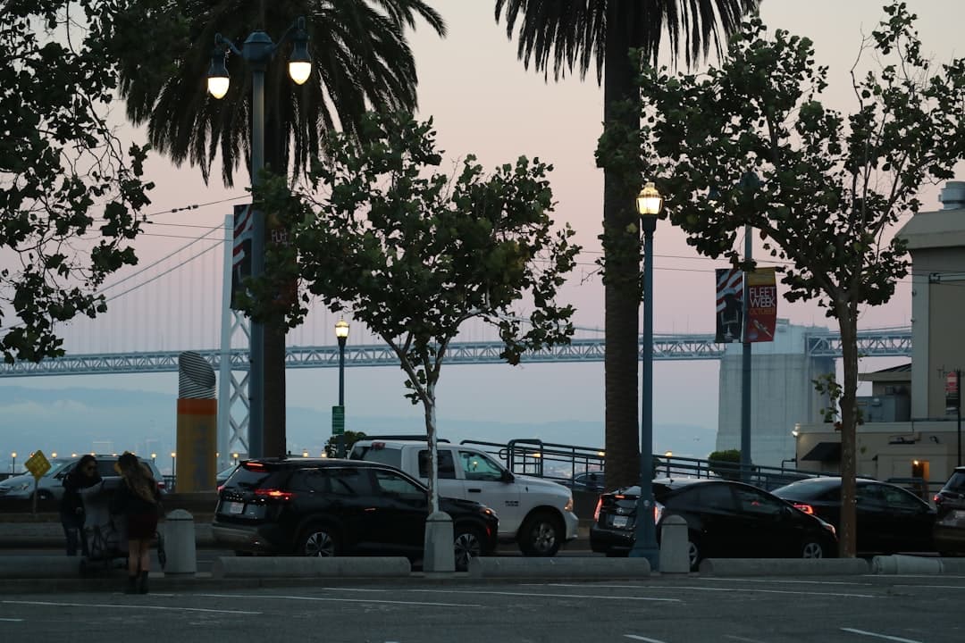 a group of cars parked on the side of a road — Photo by Vincent Y @USA on Unsplash
