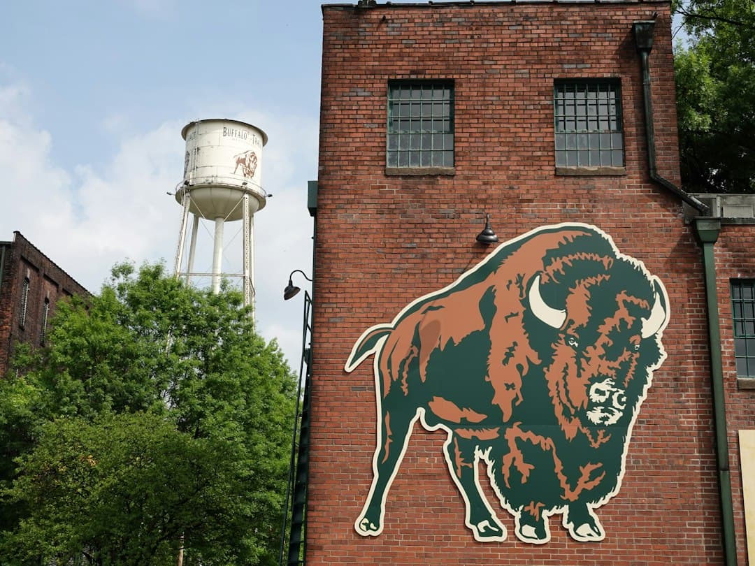 A large buffalo mural on a brick building with a water tower in the background — Photo by Charles Nouwen on Unsplash