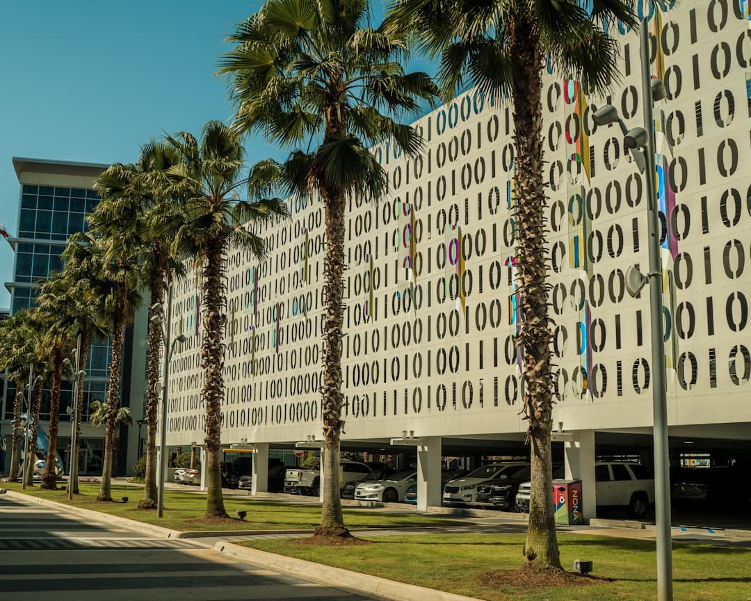 palm trees line the street in front of a building — Photo by Eric Ardito on Unsplash