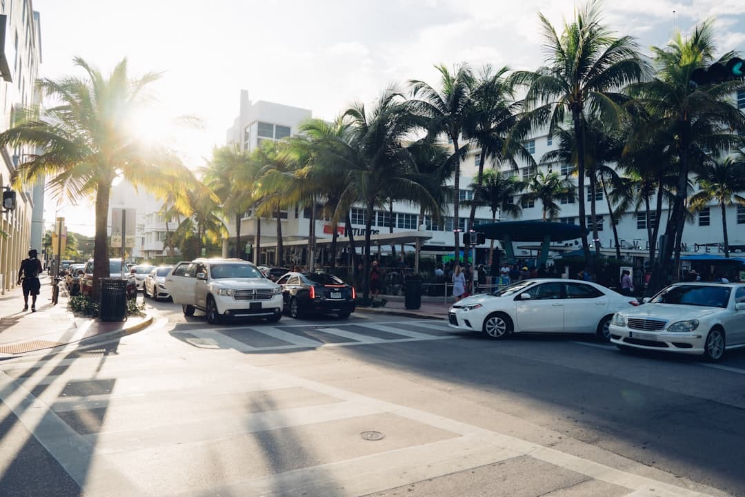 cars parked on the side of the road during daytime — Photo by Sarah Thorenz on Unsplash