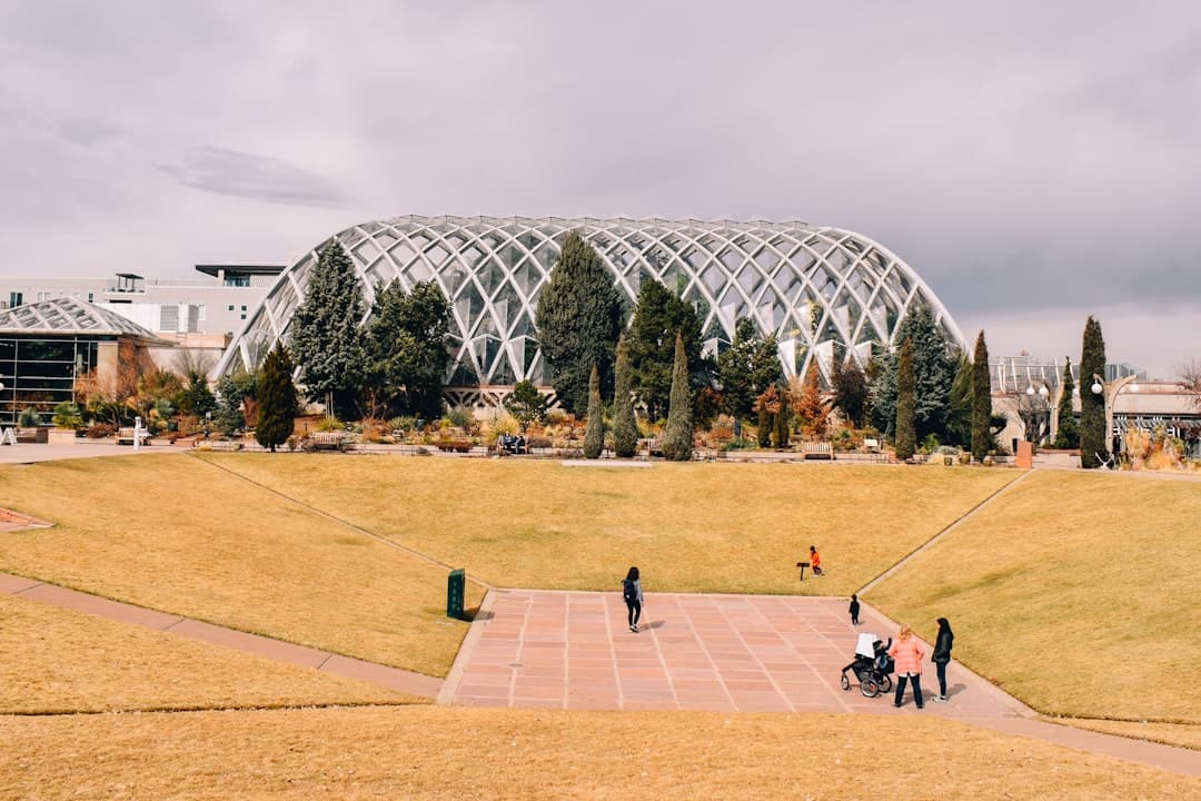 a group of people standing on top of a grass covered field — Photo by Morgan Newnham on Unsplash