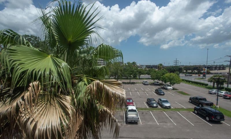 Hilton New Orleans Airport (MSY) - Gallery 3