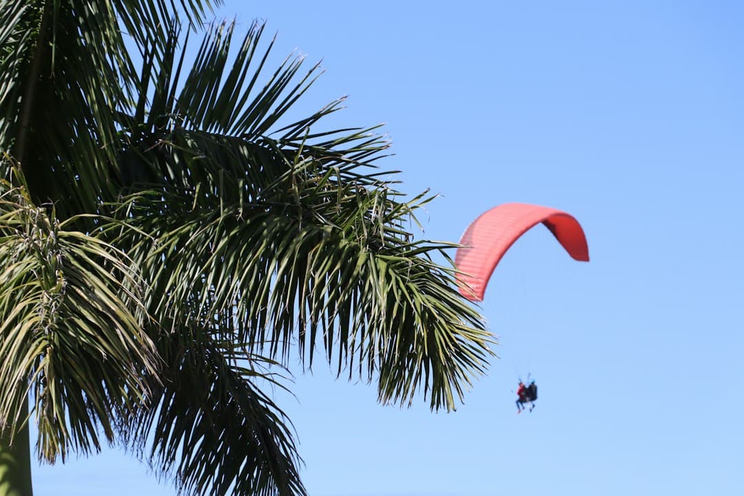 a paraglider is flying over a palm tree — Photo by Joanna Drake on Unsplash