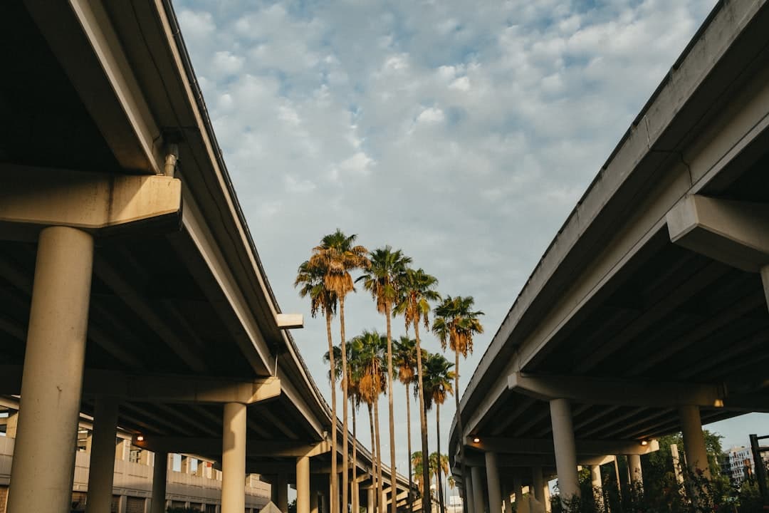 a couple of palm trees that are under a bridge — Photo by Brandon Burridge on Unsplash