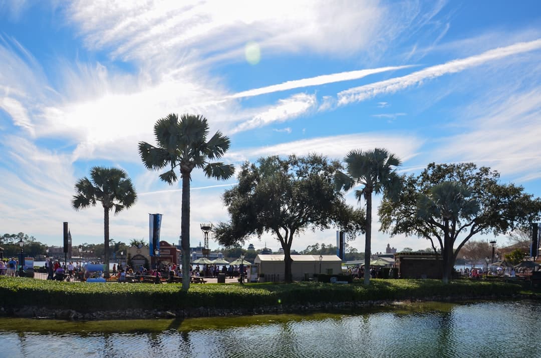 a lake surrounded by palm trees under a blue sky — Photo by Courtney Vitale on Unsplash
