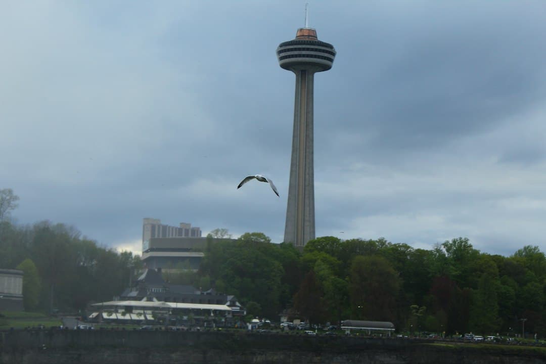 a large tower with a bird flying over it — Photo by srinivas Kodali on Unsplash