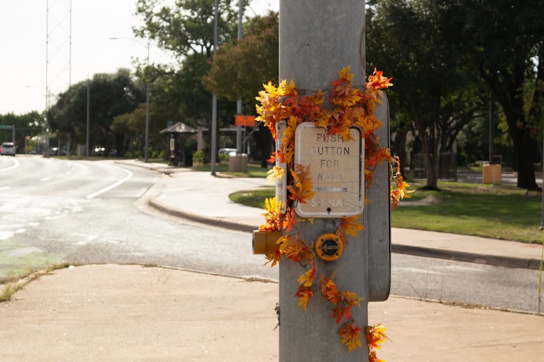 A pole decorated with orange ribbons and a white sign. — Photo by Hansheng Zhao on Unsplash
