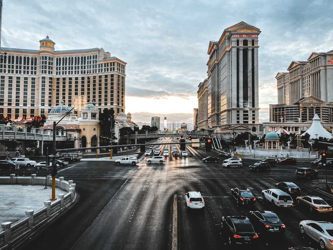 cars parked on side of the road near high rise buildings during daytime — Photo by Pouyan Nahed on Unsplash