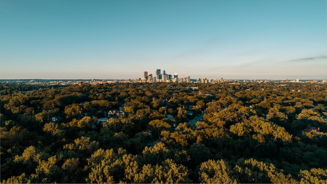 green tress field under blue sky — Photo by Josh Sorenson on Unsplash