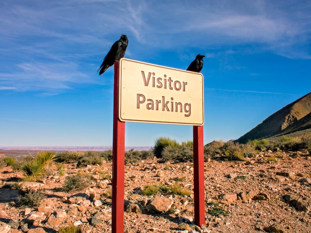 white and black wooden signage — Photo by Paul Chambers on Unsplash
