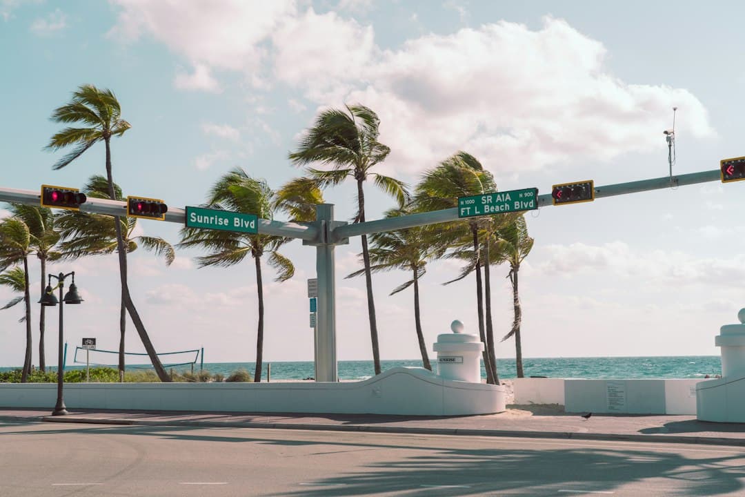 a street with palm trees and street signs — Photo by Brad Stell on Unsplash