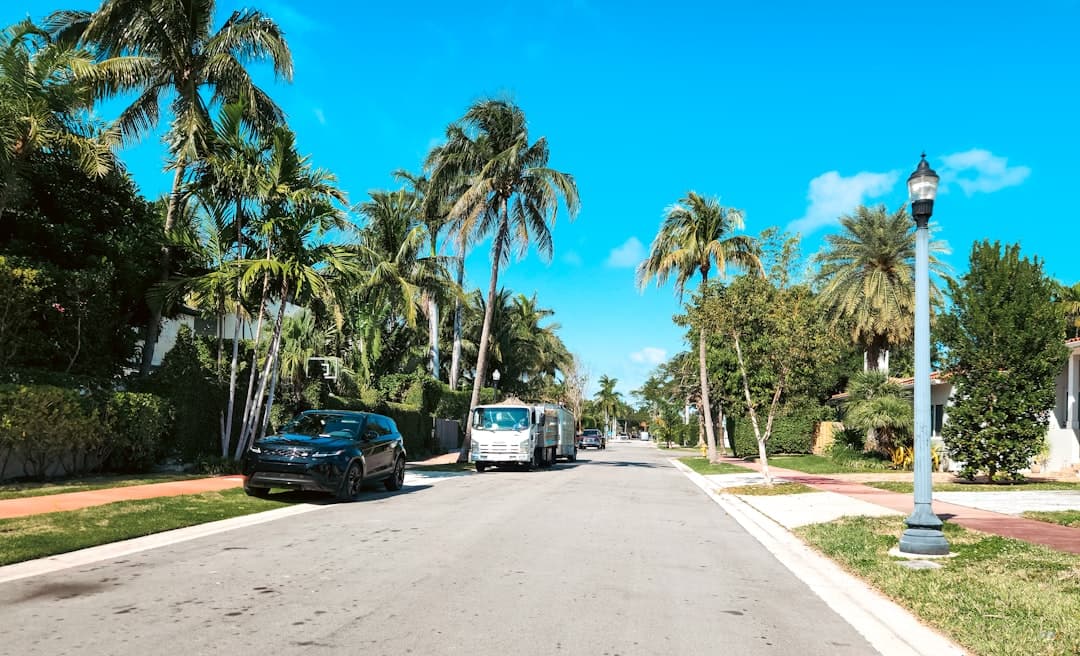 A street lined with palm trees and parked cars — Photo by Zoshua Colah on Unsplash