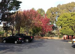 Courtyard San Francisco Airport (SFO) - Gallery 3